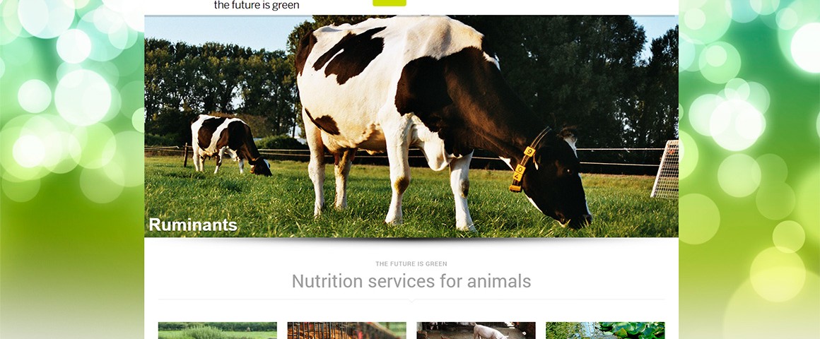 Nutrition services for animals Green Feed